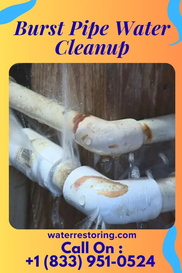 Burst Pipe Water Cleanup in Enterprise, KS