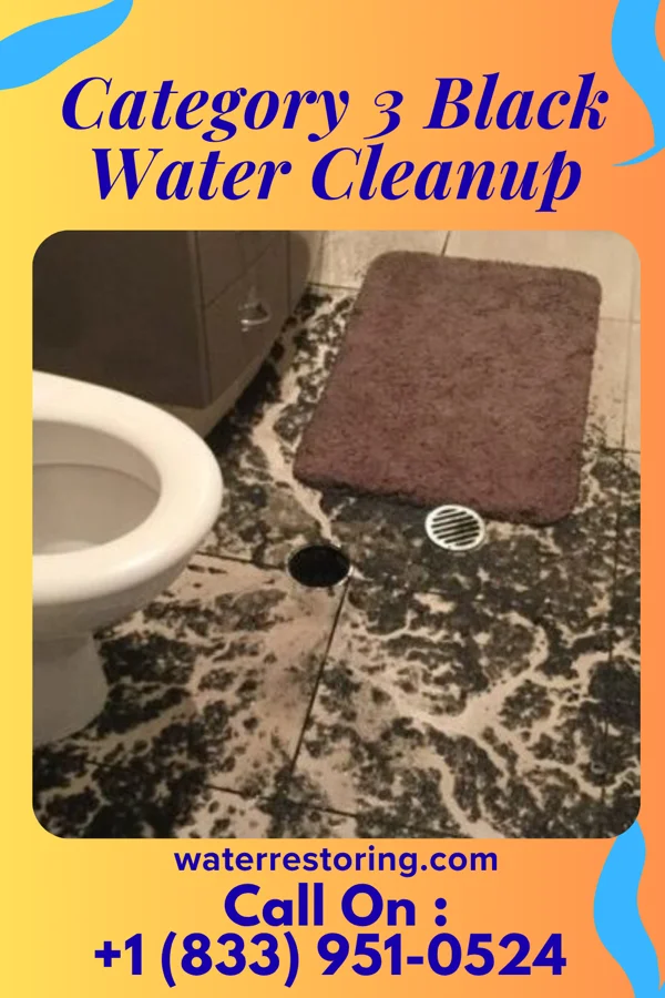 Category 3 Black Water Cleanup in Enterprise, KS