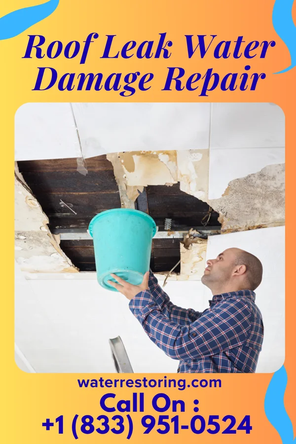 Roof Leak Water Damage Repair in Enterprise, KS