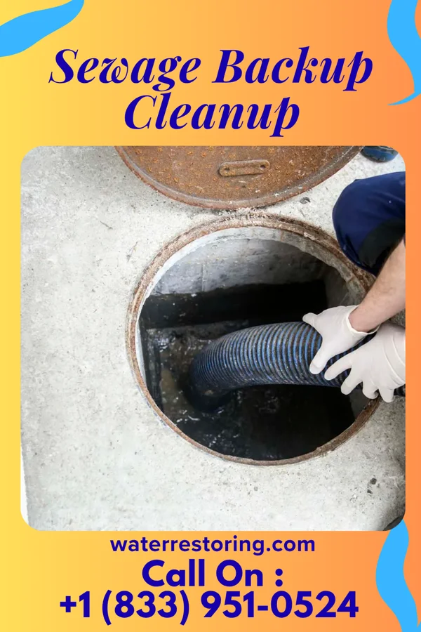 Sewage Backup Cleanup in Enterprise, KS